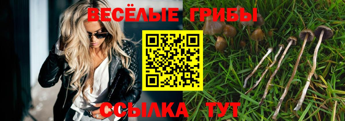 Галлюциногенные грибы Psilocybine cubensis  Вход с VPN  Омск 